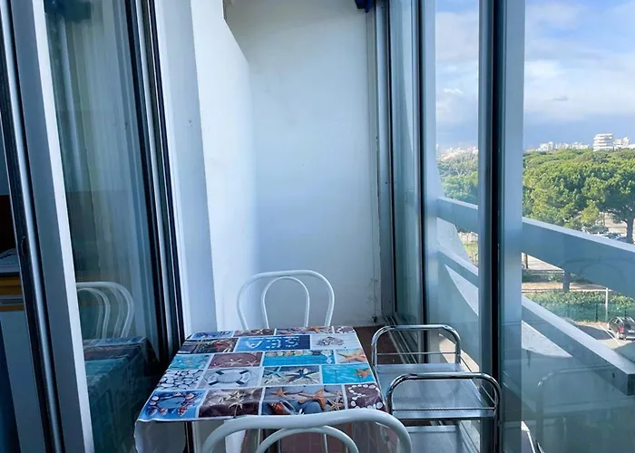 Cosy, Clim Et Parking - 2 Pers. A - Fr-1-790-40 *